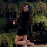 imagem10